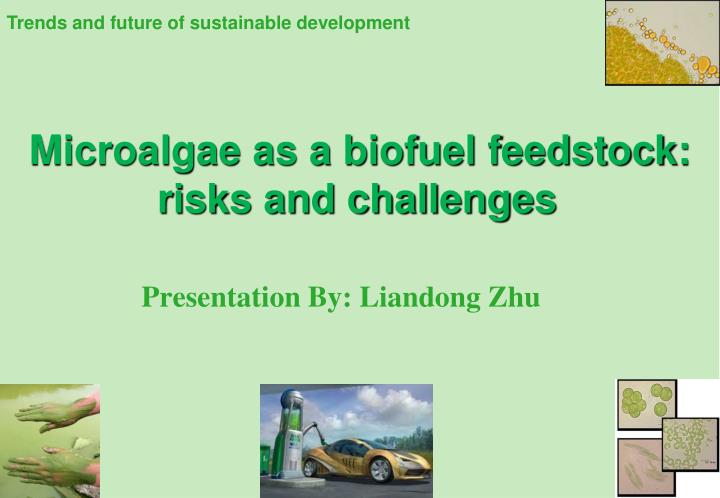 microalgae as a biofuel feedstock risks and challenges