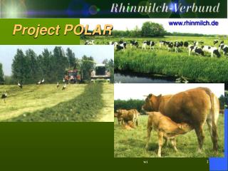 Project POLAR