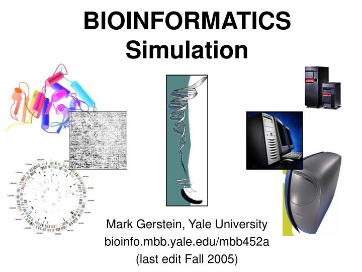 bioinformatics simulation