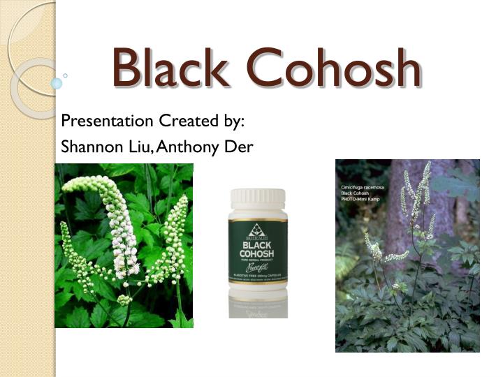 black cohosh