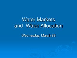 Water Markets and Water Allocation