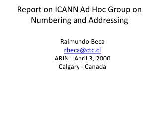 Report on ICANN Ad Hoc Group on Numbering and Addressing