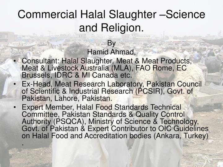 commercial halal slaughter science and religion