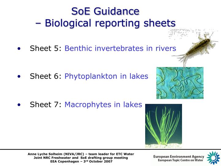soe guidance biological reporting sheets