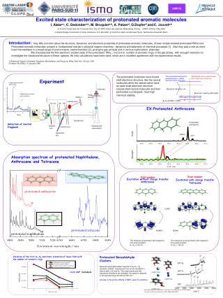 Protonated Benzaldehyde Clusters: