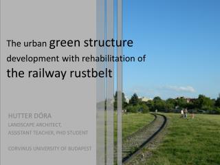 The urban green structure development with rehabilitation of the railway rustbelt