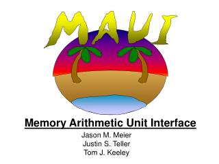 Memory Arithmetic Unit Interface