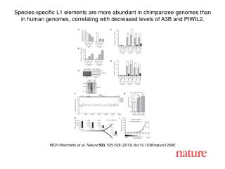 MCN Marchetto et al. Nature 503 , 525-529 (2013) doi:10.1038/nature12686