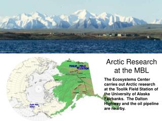 Arctic Research at the MBL