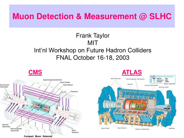 muon detection measurement @ slhc