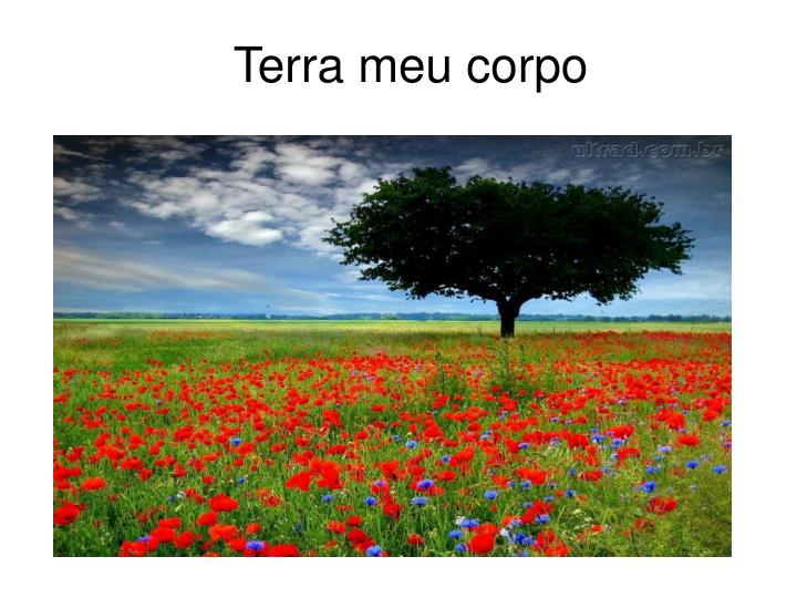 terra meu corpo