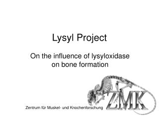 Lysyl Project