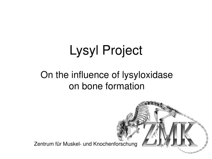 lysyl project