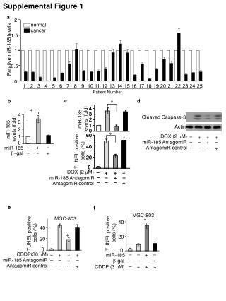 Supplemental Figure 1