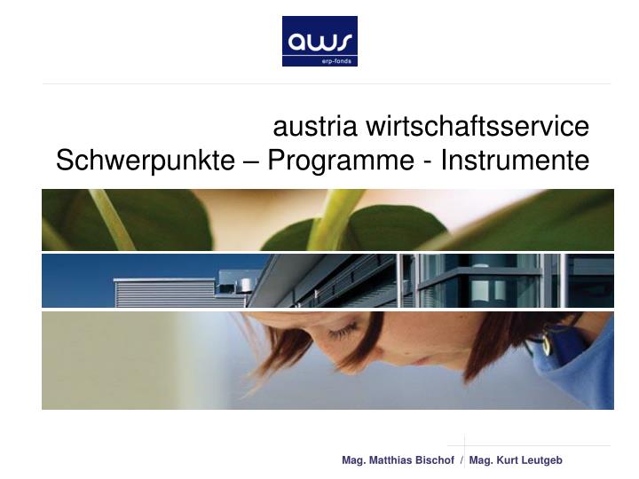 austria wirtschaftsservice schwerpunkte programme instrumente