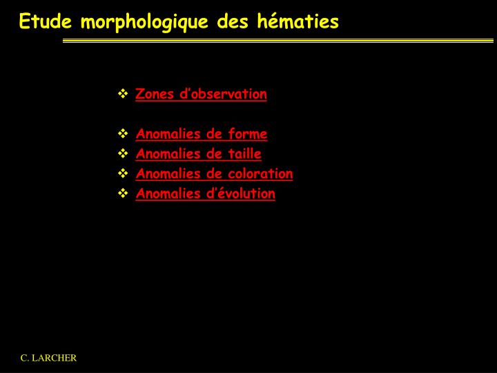 etude morphologique des h maties