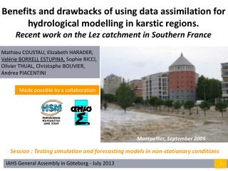 Benefits and drawbacks of using data assimilation for hydrological modelling in karstic regions.