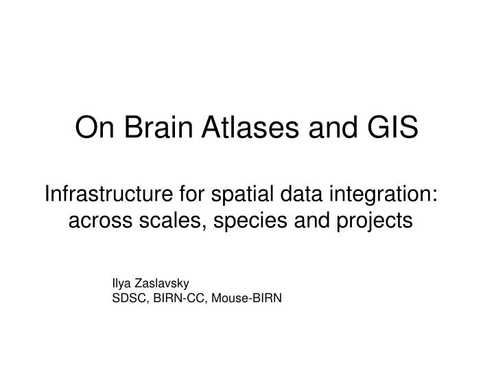 on brain atlases and gis