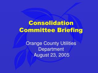 Consolidation Committee Briefing Orange County Utilities Department August 23, 2005