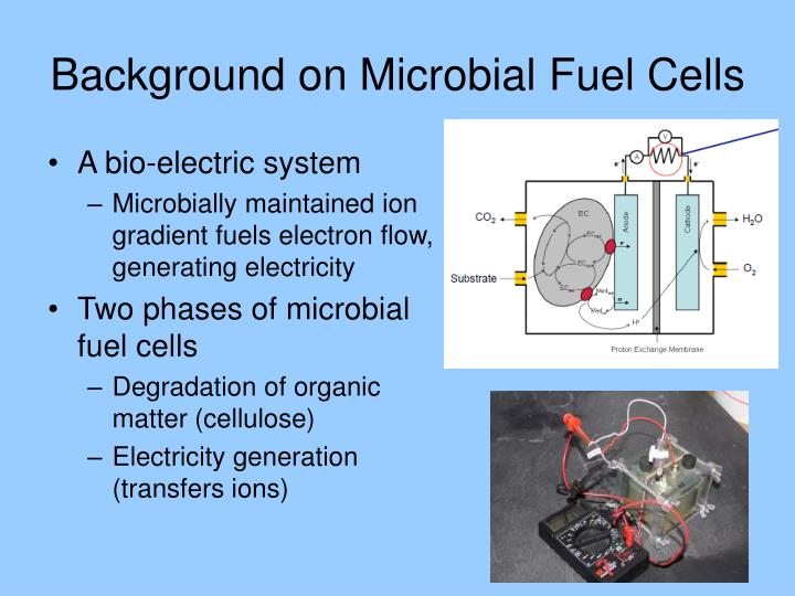 background on microbial fuel cells