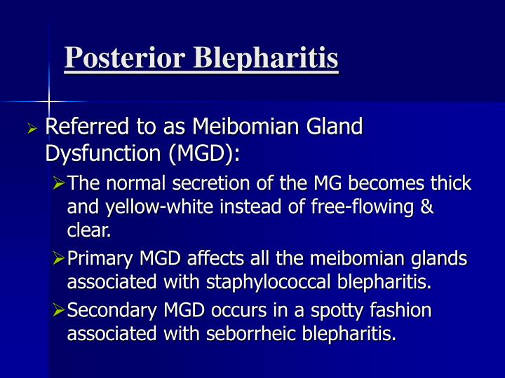 posterior blepharitis