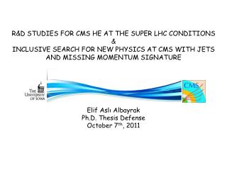 Elif Aslı Albayrak Ph.D. Thesis Defense October 7 th , 2011