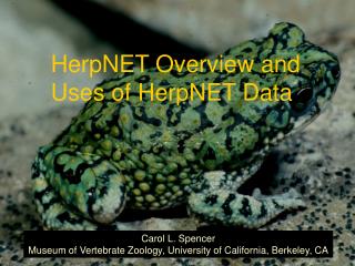 HerpNET Overview and Uses of HerpNET Data