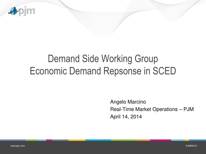 demand side working group economic demand repsonse in sced
