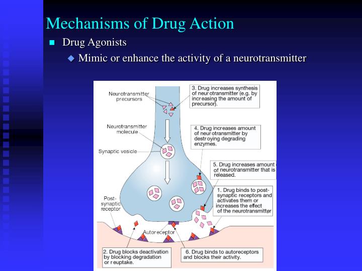mechanisms of drug action