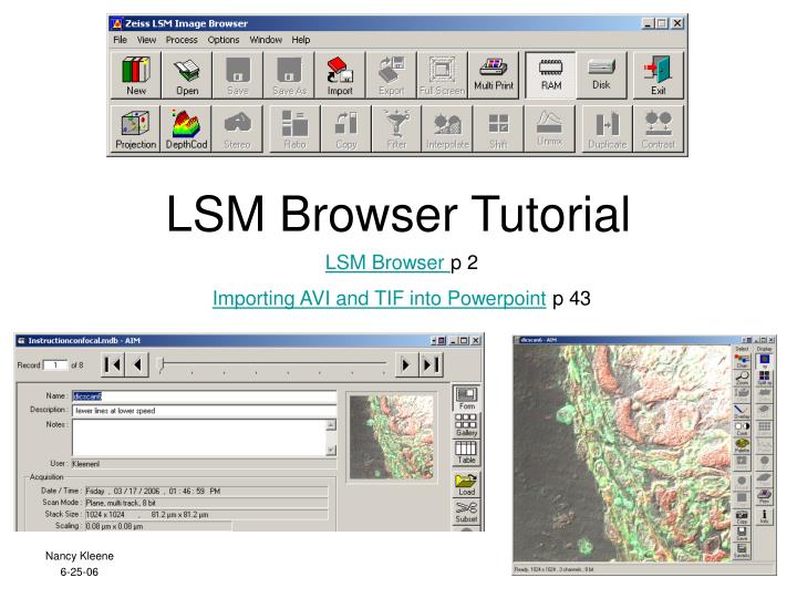 lsm browser tutorial