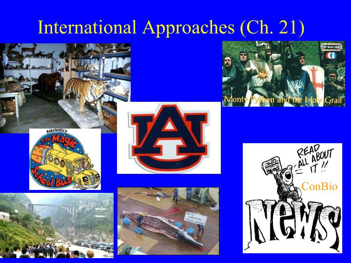 international approaches ch 21