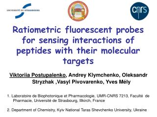 Ratiometric fluorescent probes for sensing interaction s of peptides with their molecular targets