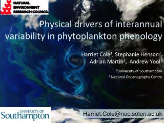 Physical drivers of interannual variability in phytoplankton phenology