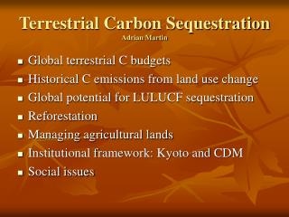 Terrestrial Carbon Sequestration Adrian Martin