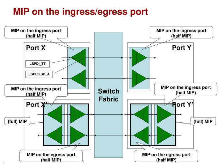 mip on the ingress egress port