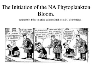 The Initiation of the NA Phytoplankton Bloom.