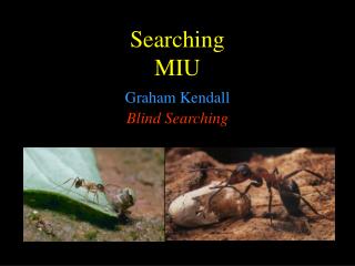 Searching MIU