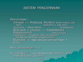 sistem pencernaan