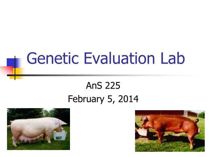 genetic evaluation lab