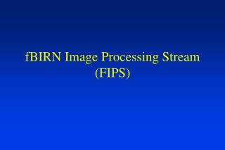 fBIRN Image Processing Stream (FIPS)