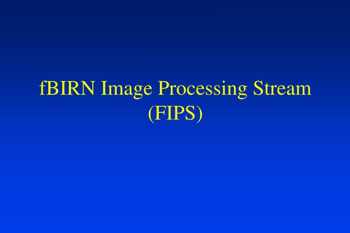 fbirn image processing stream fips
