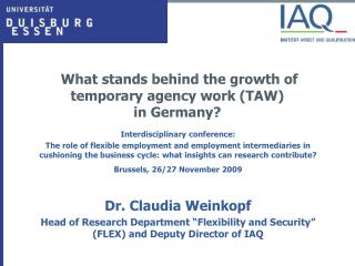 What stands behind the growth of temporary agency work (TAW) in Germany?