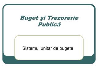 buget i trezorerie public