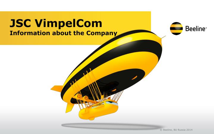 jsc vimpelcom information about the company