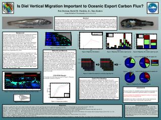 Is Diel Vertical Migration Important to Oceanic Export Carbon Flux?