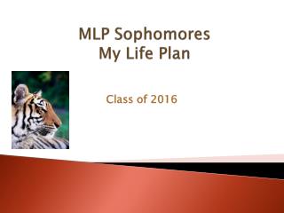 MLP Sophomores My Life Plan