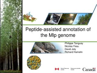 Peptide-assisted annotation of the Mlp genome