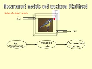 Mesurement models and maximum likelihood