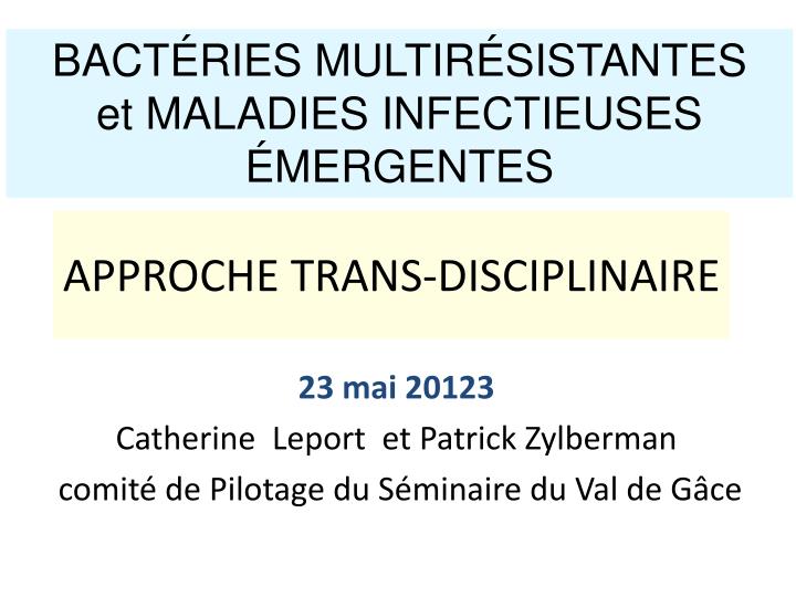 approche trans disciplinaire