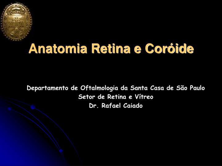 anatomia retina e cor ide